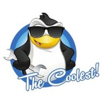 The Coolest LLC